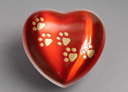 Royal Rapture Urn for ashes Paw Heart Funeral Cremation Memorial Keepsake Pet Dog Cat No Stand 6" (RHP03)