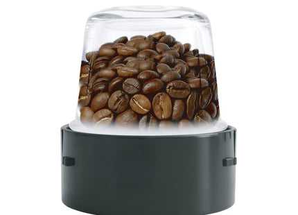 Lexical Blenders & Smoothie Makers – Hand Blenders, Professional Blenders & Blender with Grinder