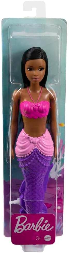 Barbie Fashionistas Doll with Accessories – Inclusive Design with Unique Skin Tone, Hair & Trendy Style – HGR04