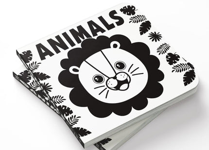 Baby’s First High-Contrast Books Boxed Set [Box Set of 5] - Age Group: 0+ / Black and White Tummy Time Books /Illustrated Board Book for Kids/Toddlers / (High Contrast Board Books)