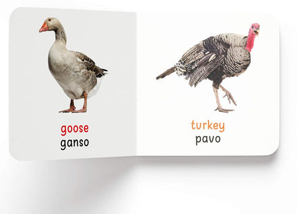 My First English - Español Learning Library (Mi Primea English - Español Learning Library) (Spanish Edition)