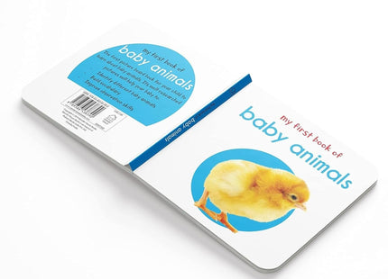 My First Complete Learning Library: Boxset of 20 Board Books Gift Set for Kids