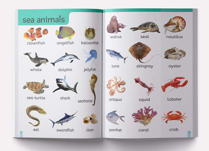 My First 1000 Words: Early Learning Picture Book to learn Alphabet, Numbers, Shapes and Colours, Transport, Birds and Animals, Professions, Opposite Words,