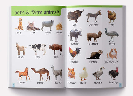 My First 1000 Words: Early Learning Picture Book to learn Alphabet, Numbers, Shapes and Colours, Transport, Birds and Animals, Professions, Opposite Words,