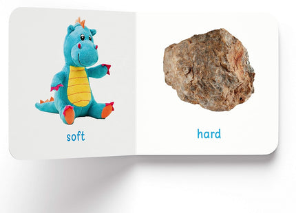 My First Complete Learning Library: Boxset of 20 Board Books Gift Set for Kids