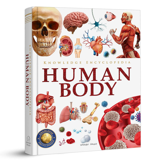 Knowledge Encyclopedia Human Body (Knowledge Encyclopedia For Children)