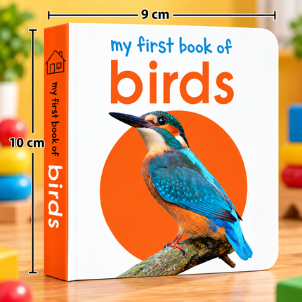 My First Board Books for Babies and Toddlers ABC Animals Flowers and Early Learning